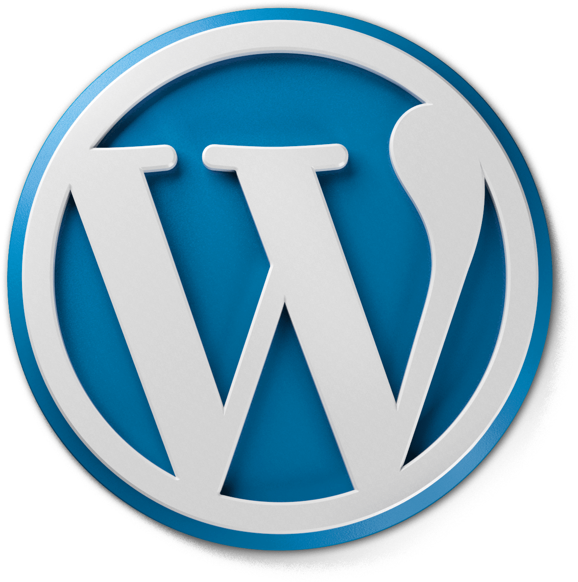 Theme WordPress
